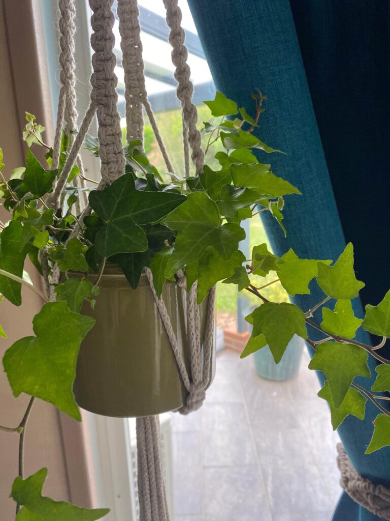 suspension pot de fleur