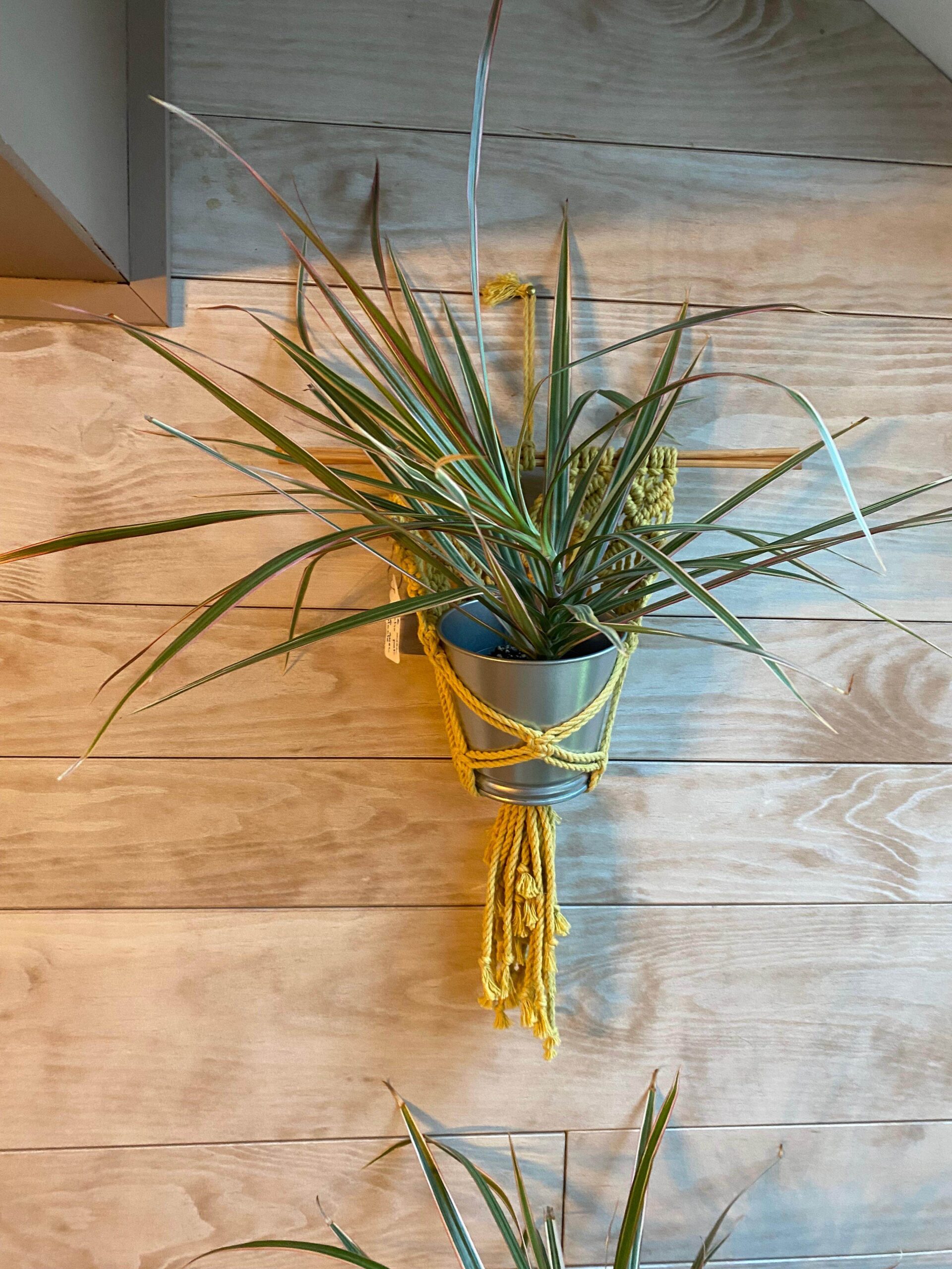 suspension pot ficelle